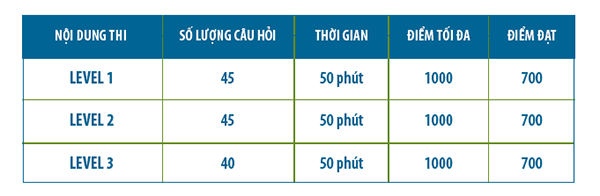 Dac Diem Bai Thi Ic3